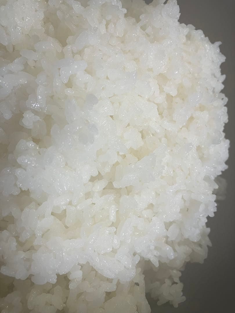 こぷー 令和7年産【丹波篠山コシヒカリ】白米10kg 極上米/食味値87点