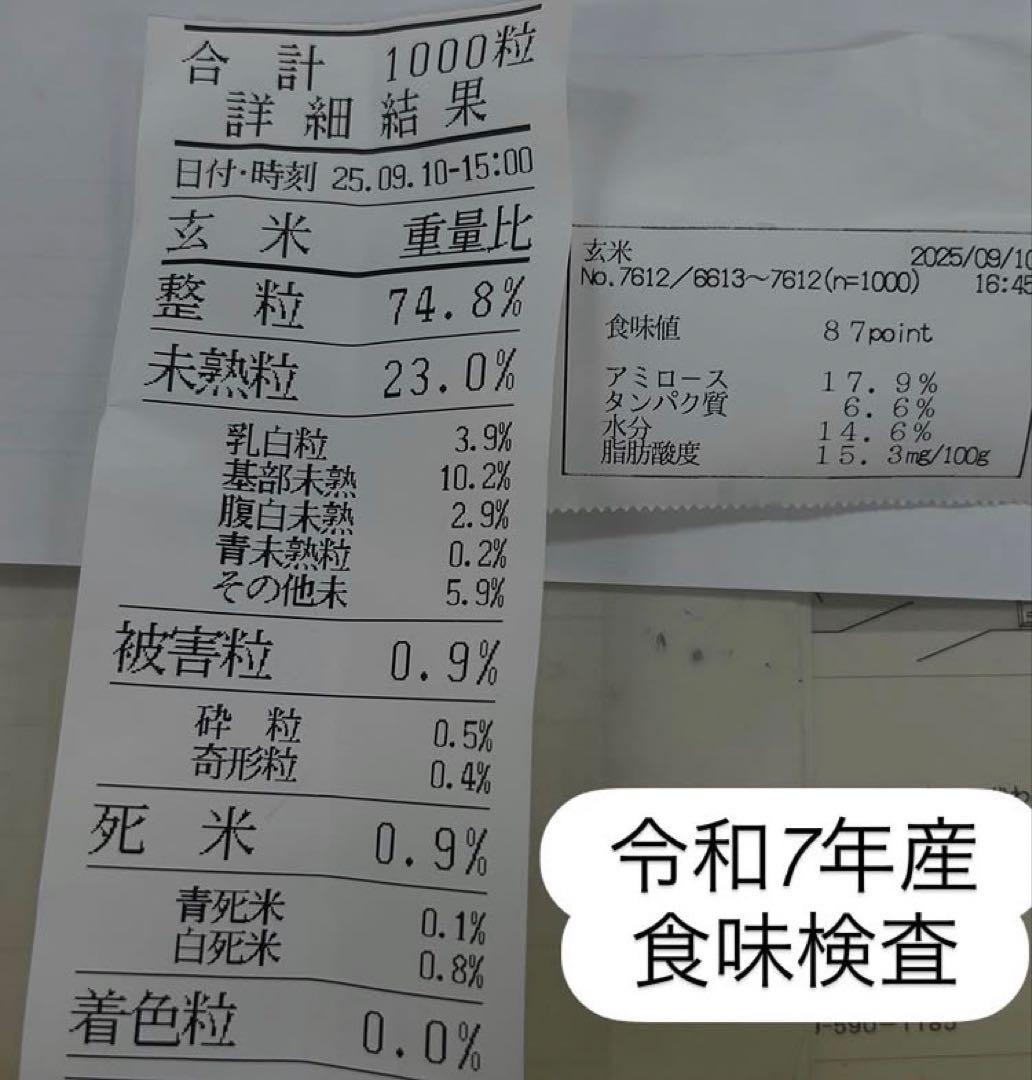 こぷー 令和7年産【丹波篠山コシヒカリ】白米10kg 極上米/食味値87点
