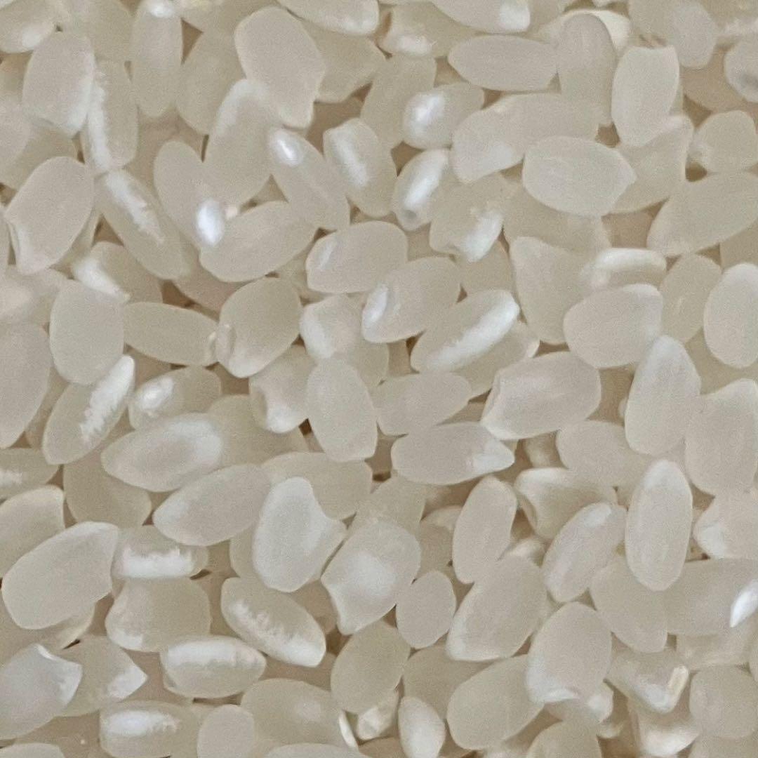 こぷー 令和7年産【丹波篠山コシヒカリ】白米10kg 極上米/食味値87点