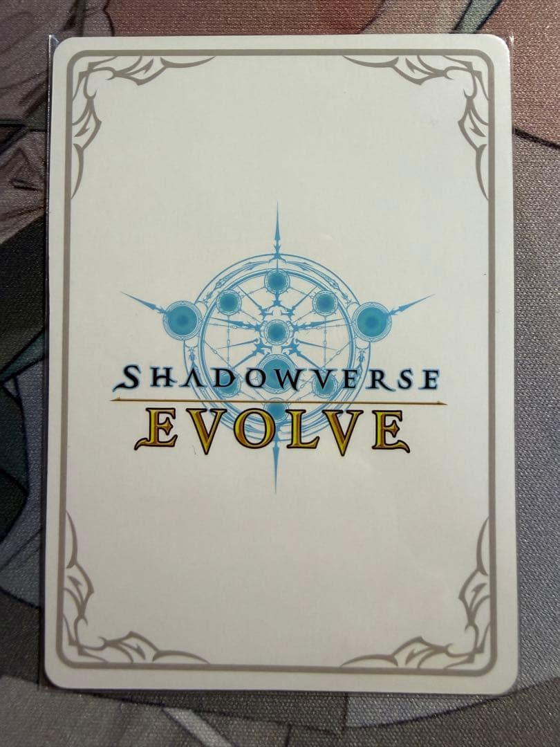 エボルヴ オーキス リーダー