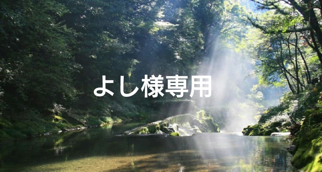 よし✨特典付電磁波防止✨本物CMCペンダントUSA版2本お値引