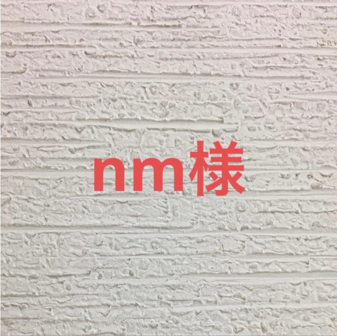 グレインフリーサーモン10キロ