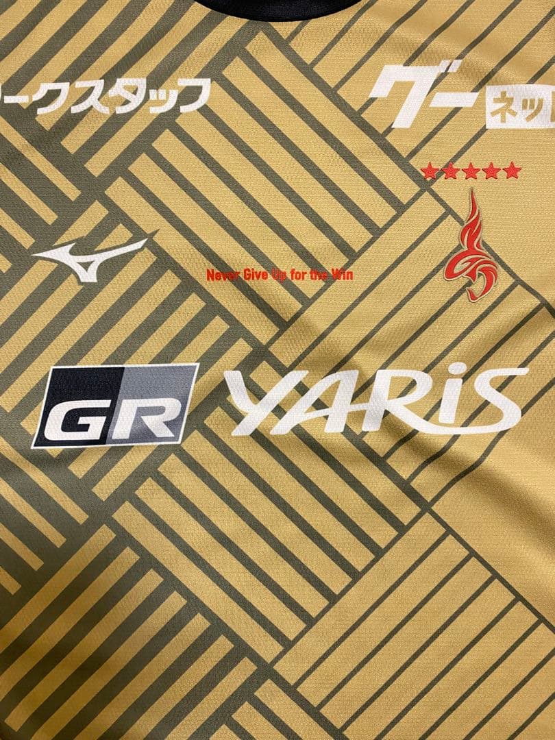 名古屋グランパス 2025『鯱の大祭典』 FPオーセンティックモデル Ｌサイズ