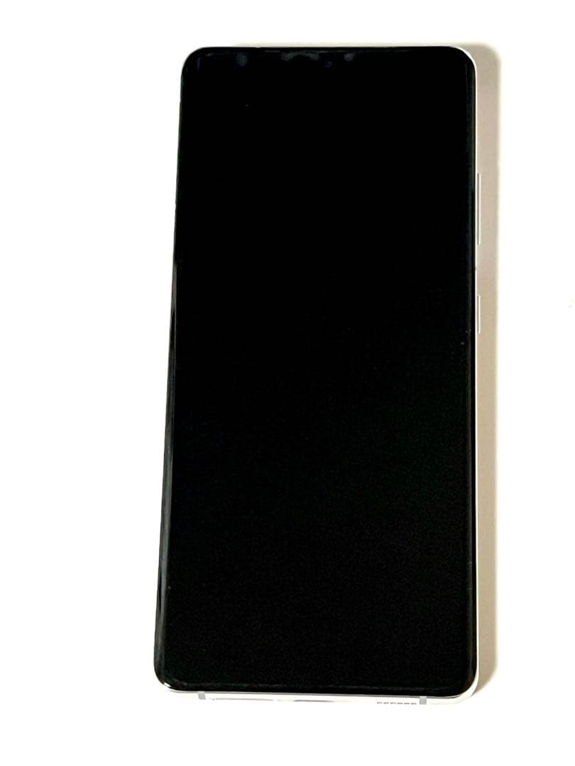 Samsung Galaxy S21 Ultra 本体