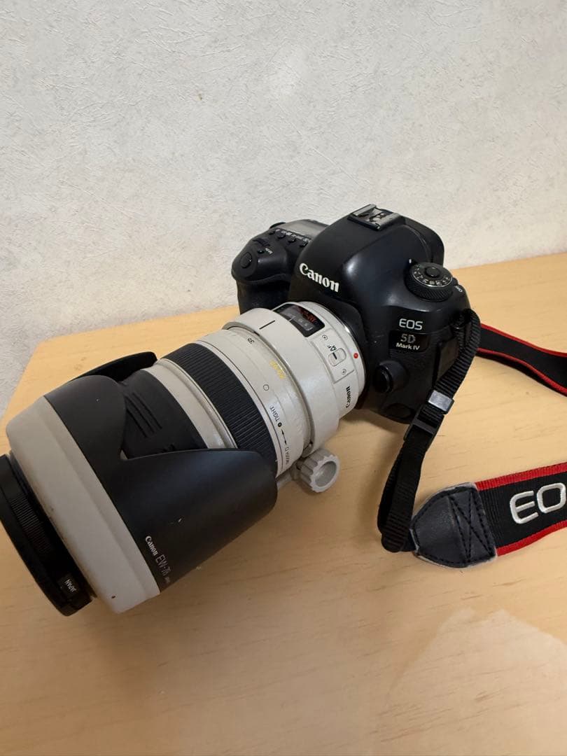 canon eos 5d mark Ⅳ EF 35-350mmF3.5-5.6L