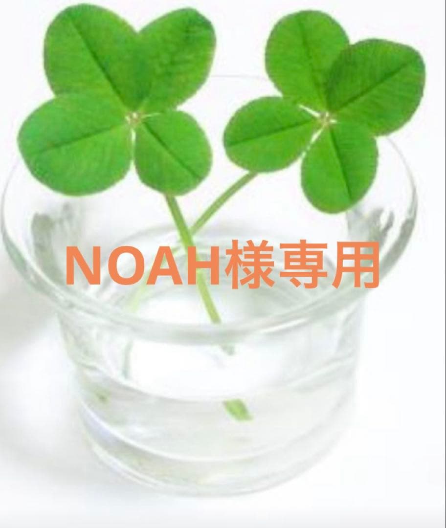 洗顔料 NOAH
