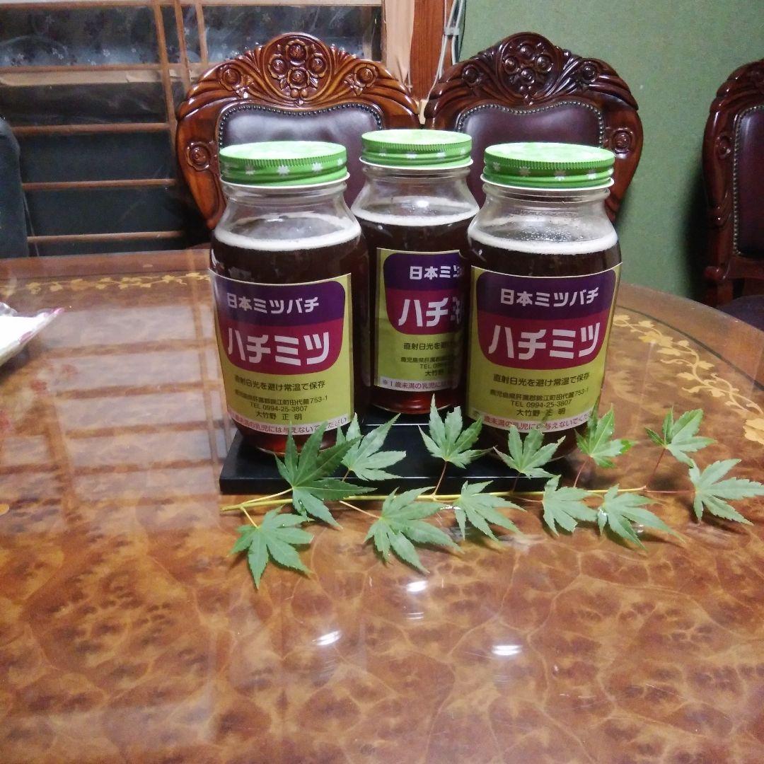 日本ミツバチ ハチミツ 3本セット
