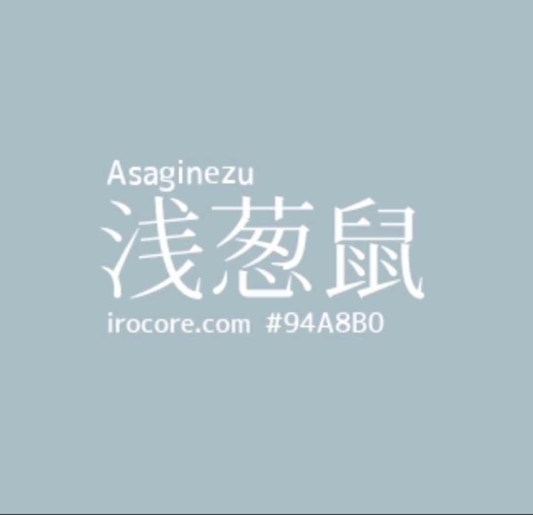 難有　正絹　訪問着　フルセット　裄66 67 L M 卒業式　入学式　袋帯
