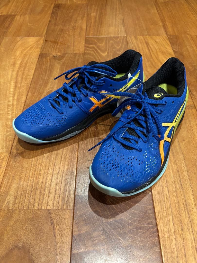 【新品】バレーボールシューズ　アシックス　スカイエリートFF 24.5cm