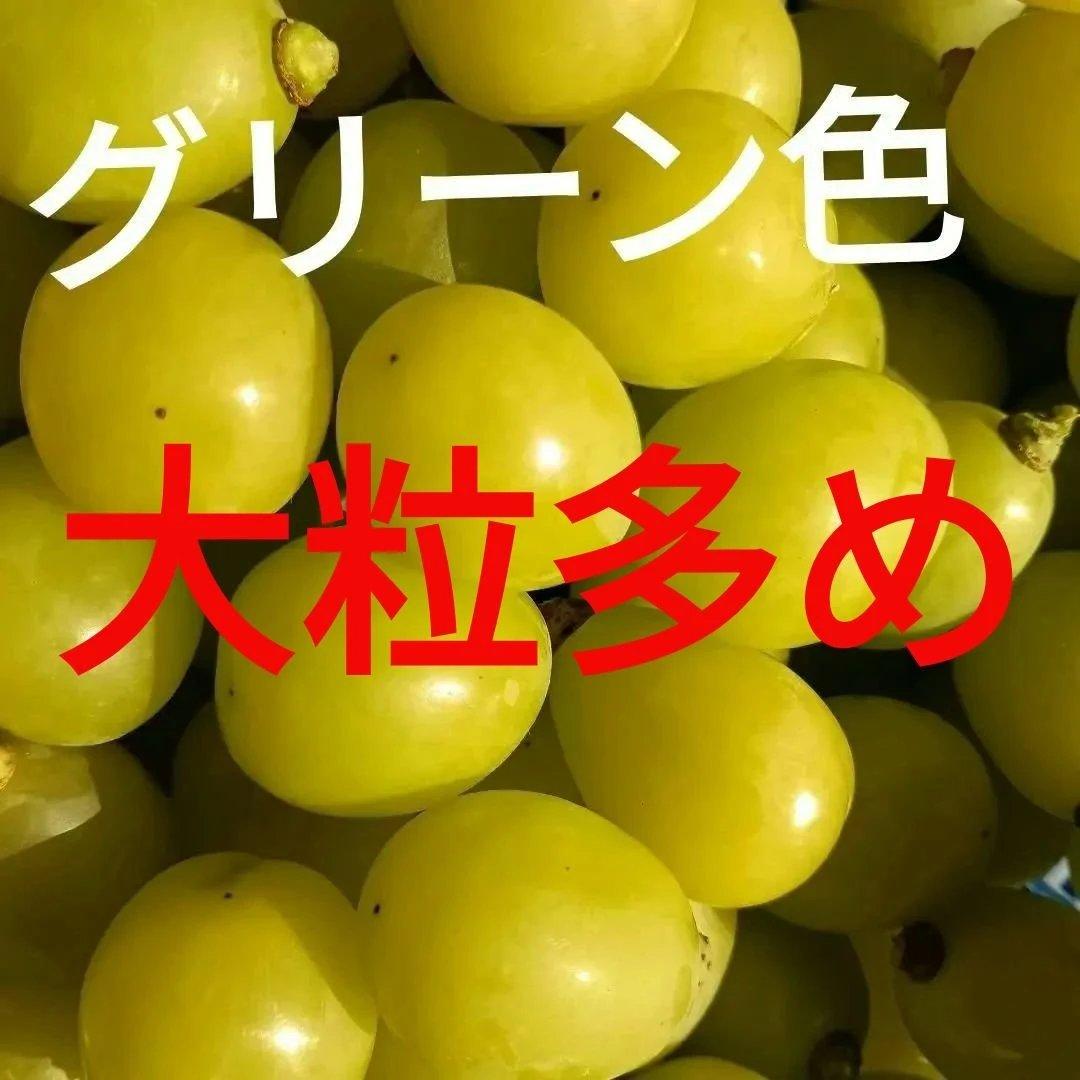 シャインマスカットの大粒グリーン多め入り、5キロ入りの粒パック入りになります。