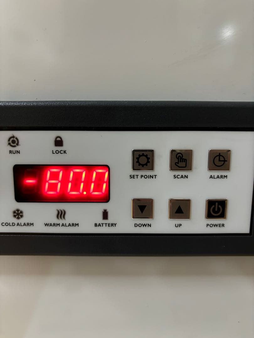 清潔コオロギ　S〜Mサイズ　2kg 冷凍コオロギ　クロコオロギ　フタホシコオロギ