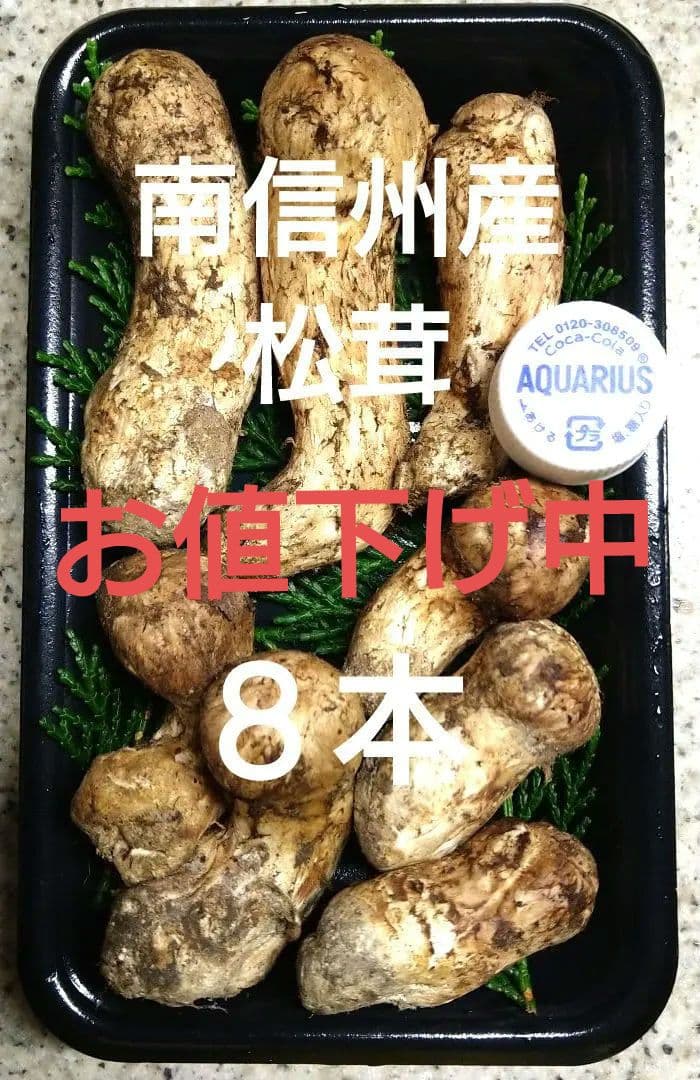 南信州産松茸約１７２g（パック込み