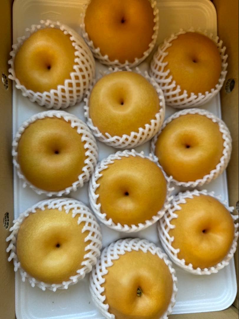 梨　新高梨　10玉　　09