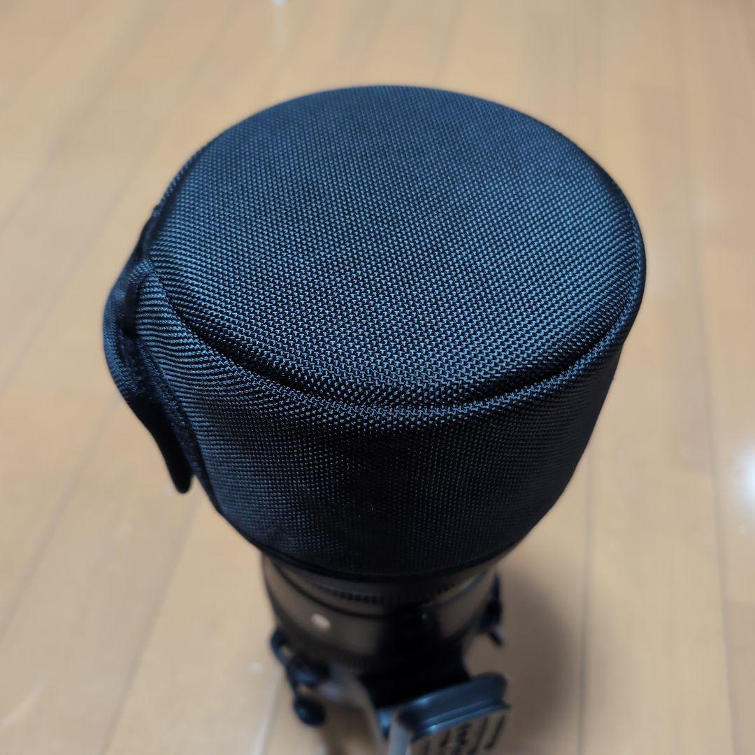 Sigma sports 150-600f5-6.3 DGDN （SONY E）