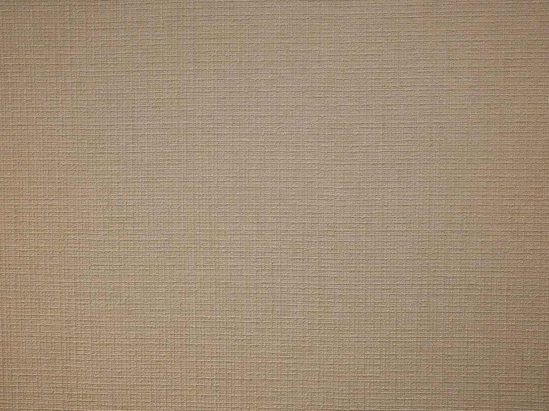 保証書有、美品、アクセサリー多数有　富士フイルム　X100Ⅵ シルバー