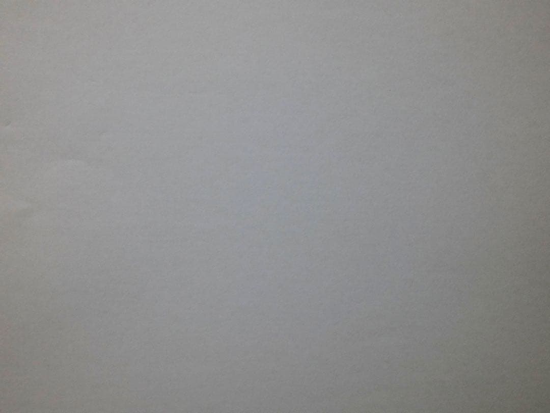 保証書有、美品、アクセサリー多数有　富士フイルム　X100Ⅵ シルバー