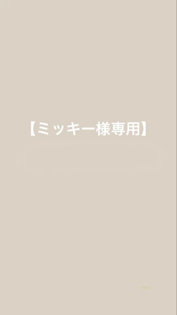 【ミッキーさま専用】アローブ ENセット