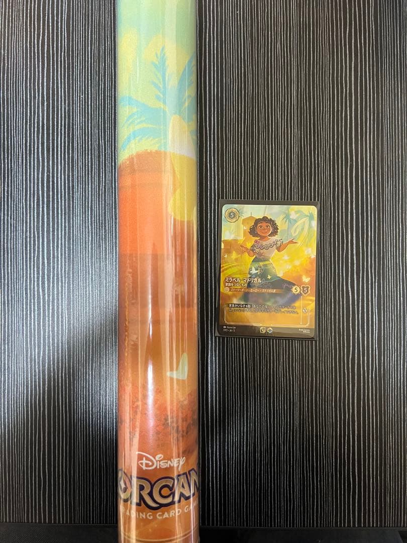 ロルカナ セットチャンピオンシップ ミラベル・マドリガル セット