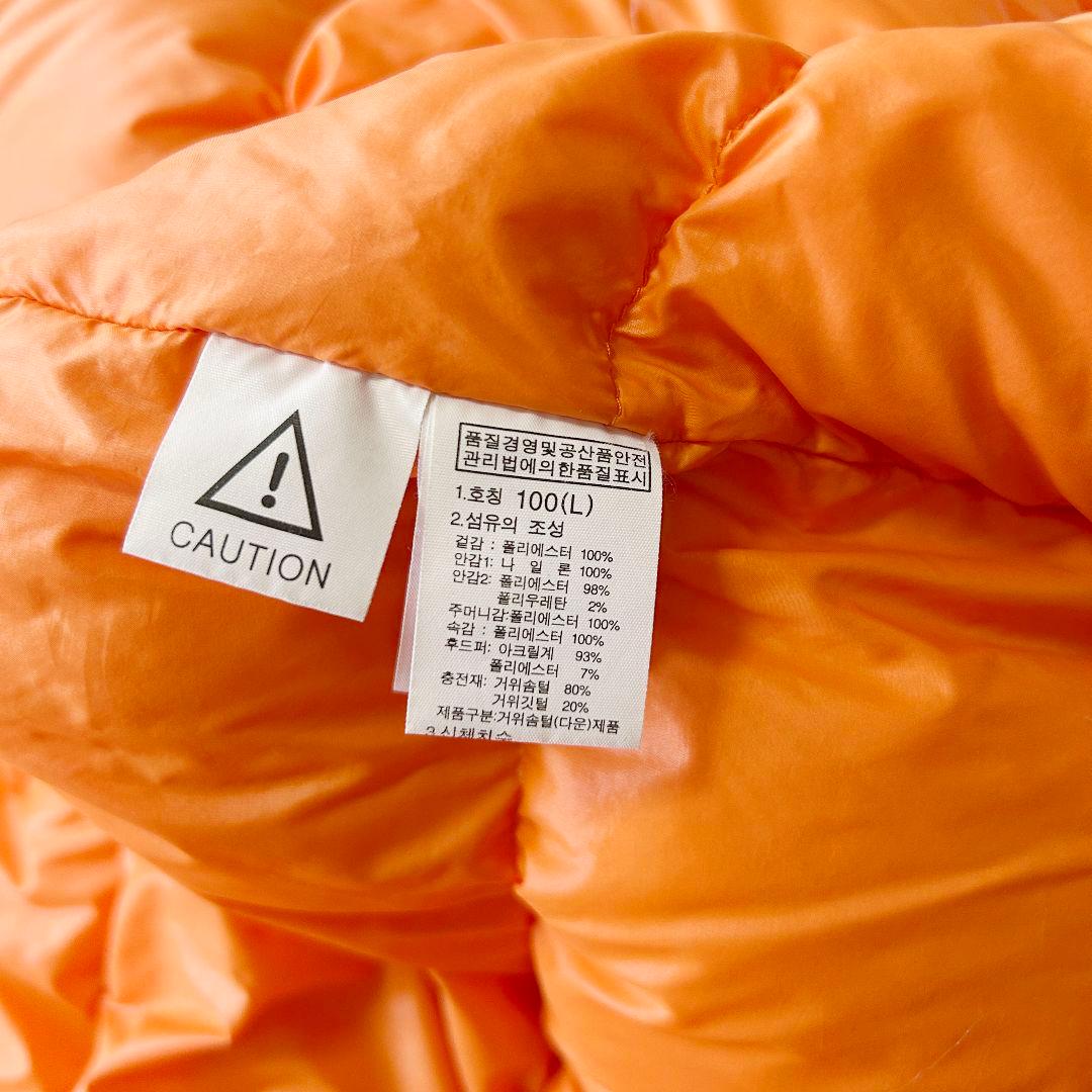 THE NORTH FACE ノースフェイス韓国限定 ダウンジャケット メンズL