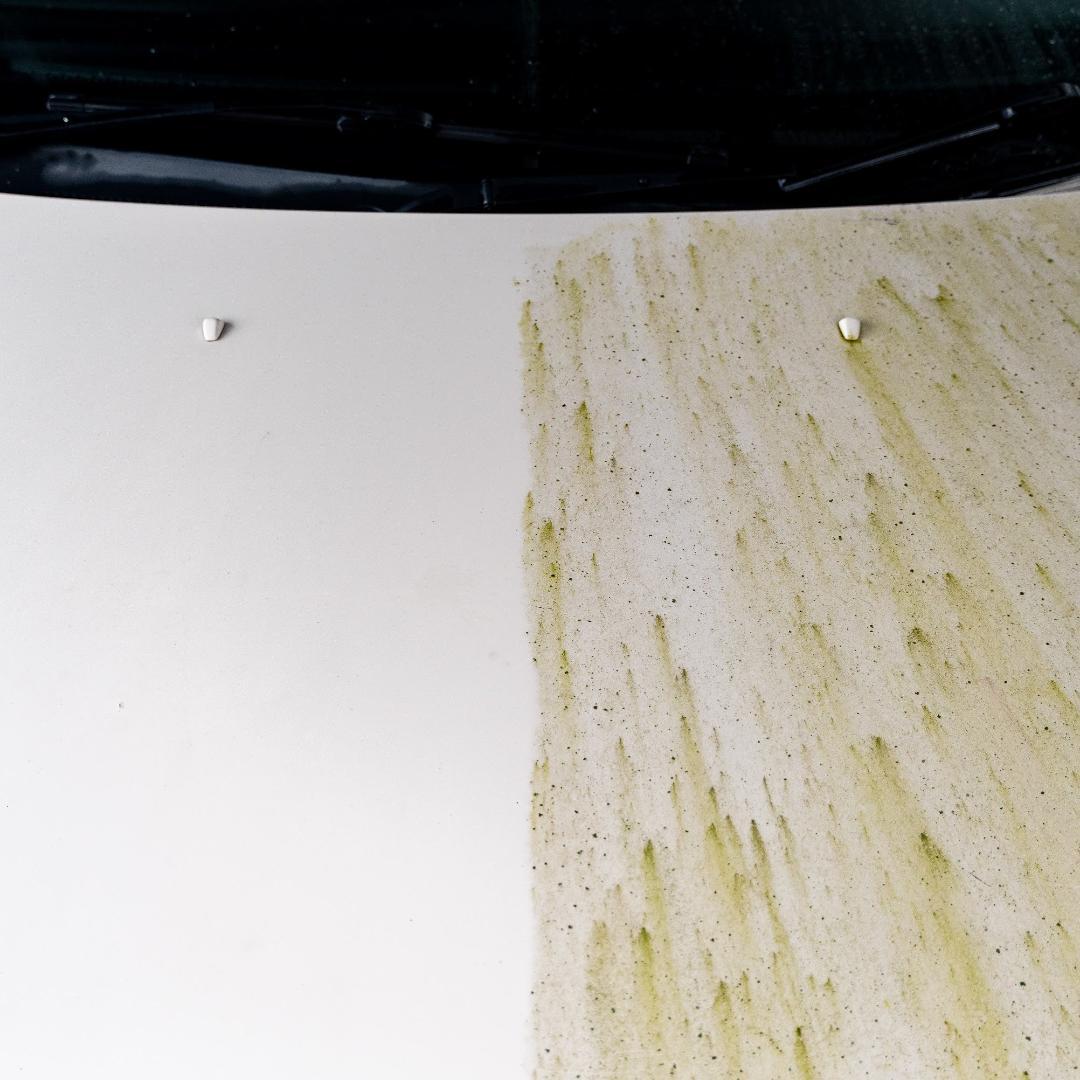 ごま団GO! ダイナマイト5L/ドレッスル5L/ミキシングボトル2本