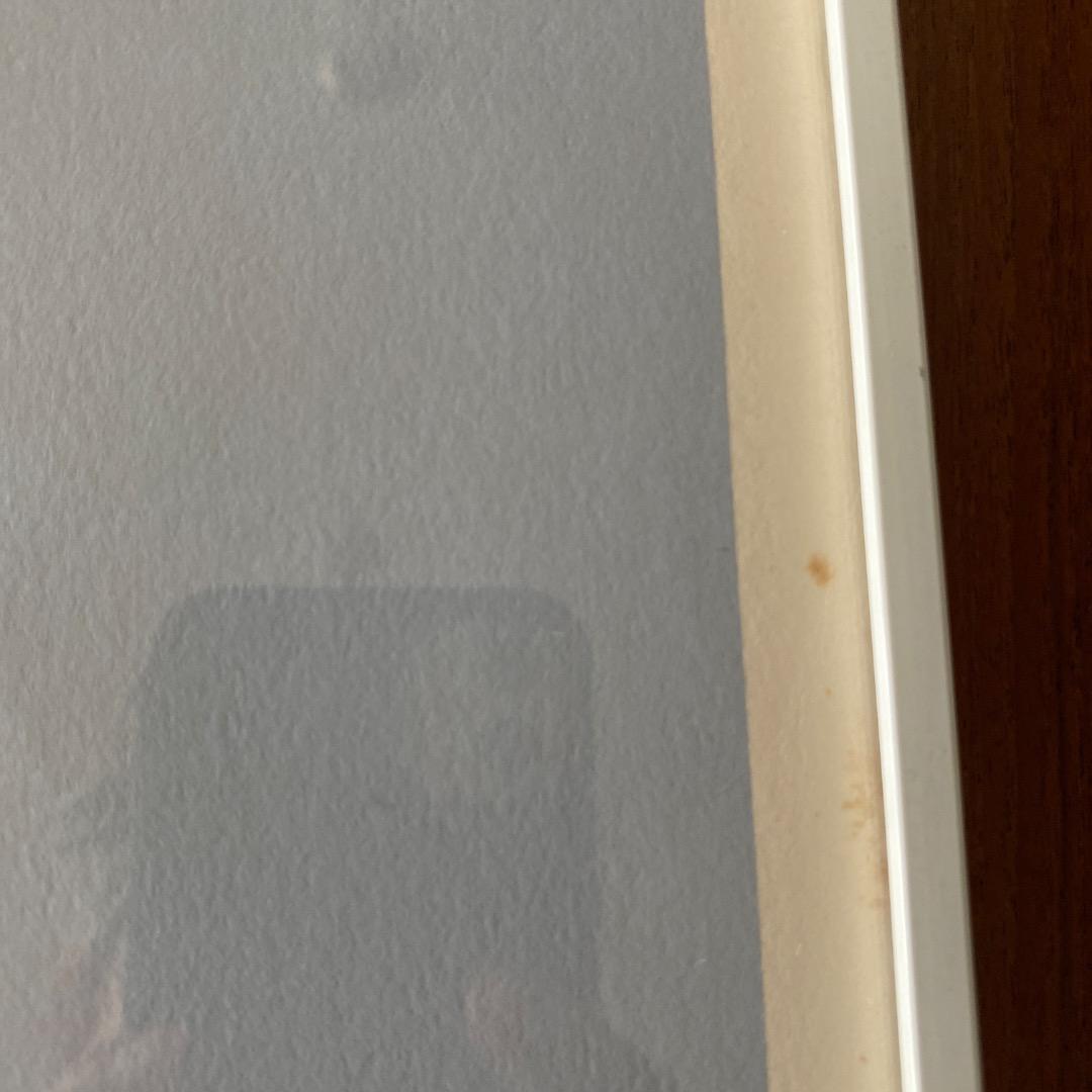 磯崎新「ヴィッラAo」 1978年 シルクスクリーン