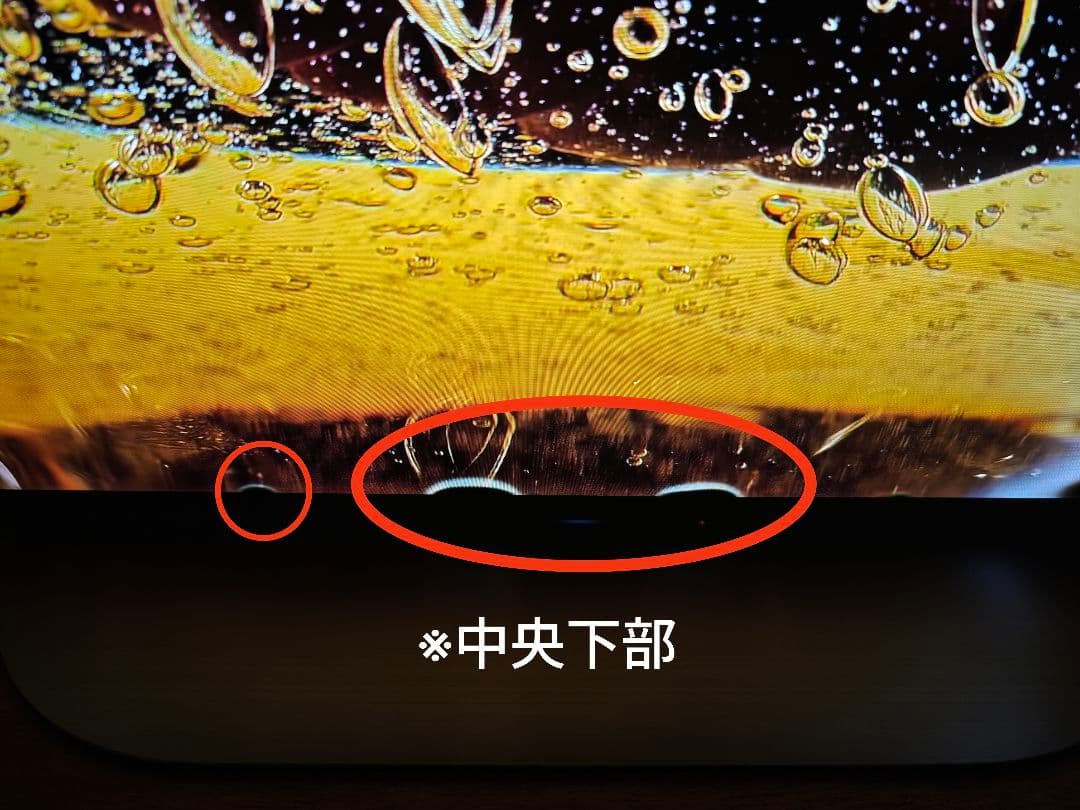 BRAVIA KJ-55A9G 有機ELパネル 2019年製