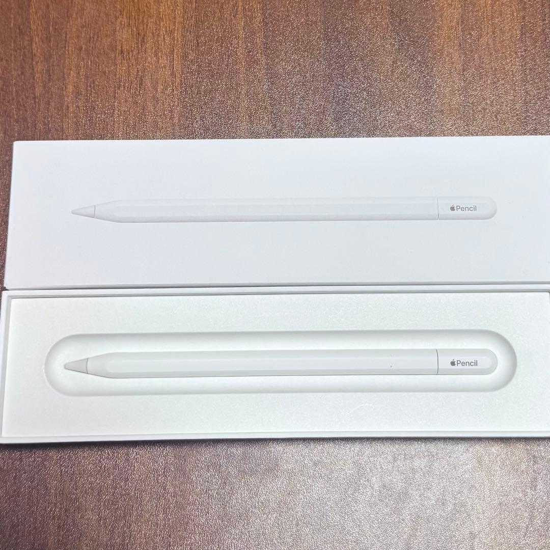 Apple Pencil (USB-C) アップルペンシル 純正