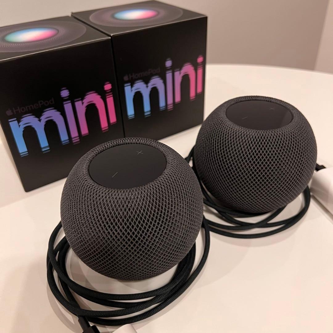 Apple  pod mini 2個セット