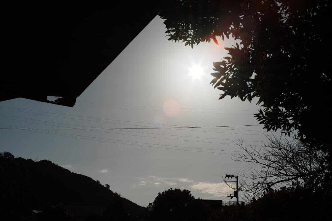 【伝説の幻玉】Canon FD 55mm F1.2 S.S.C ASPH 215