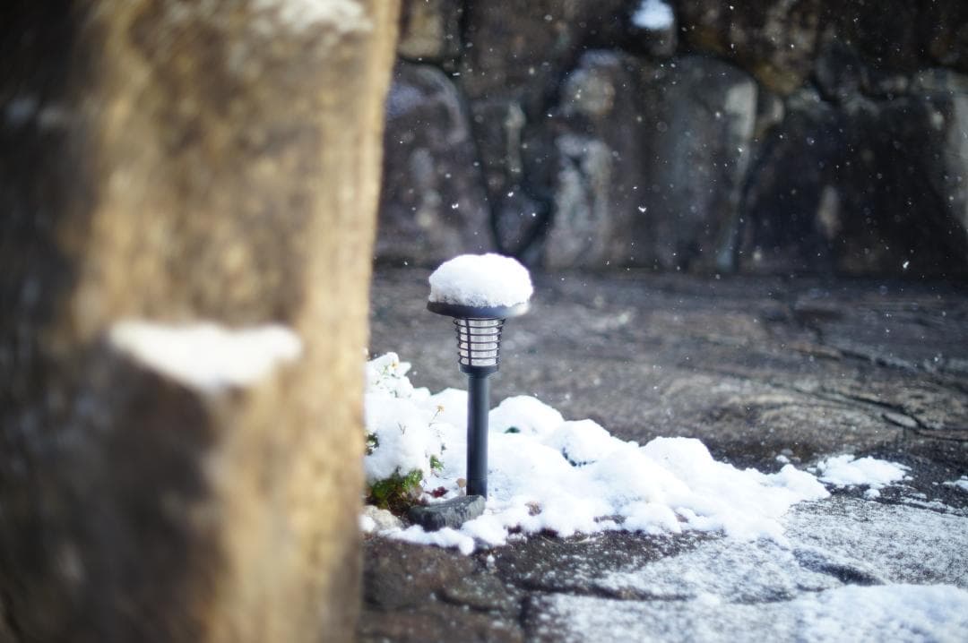 Nikon F 後期 Black / Nikkor-S.C 50mm f1.4