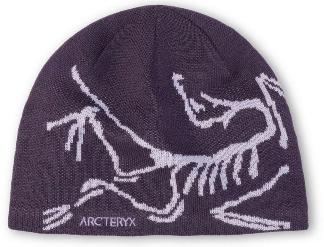 2026年2月購入★新品★ 新色★アークテリクス　バードヘッドトーク