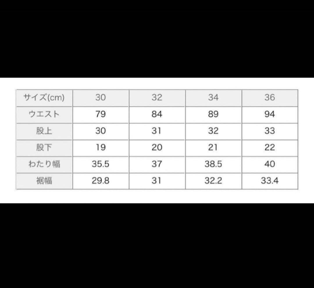 THE NORTH FACE PURPLE LABEL Shorts 36 紺