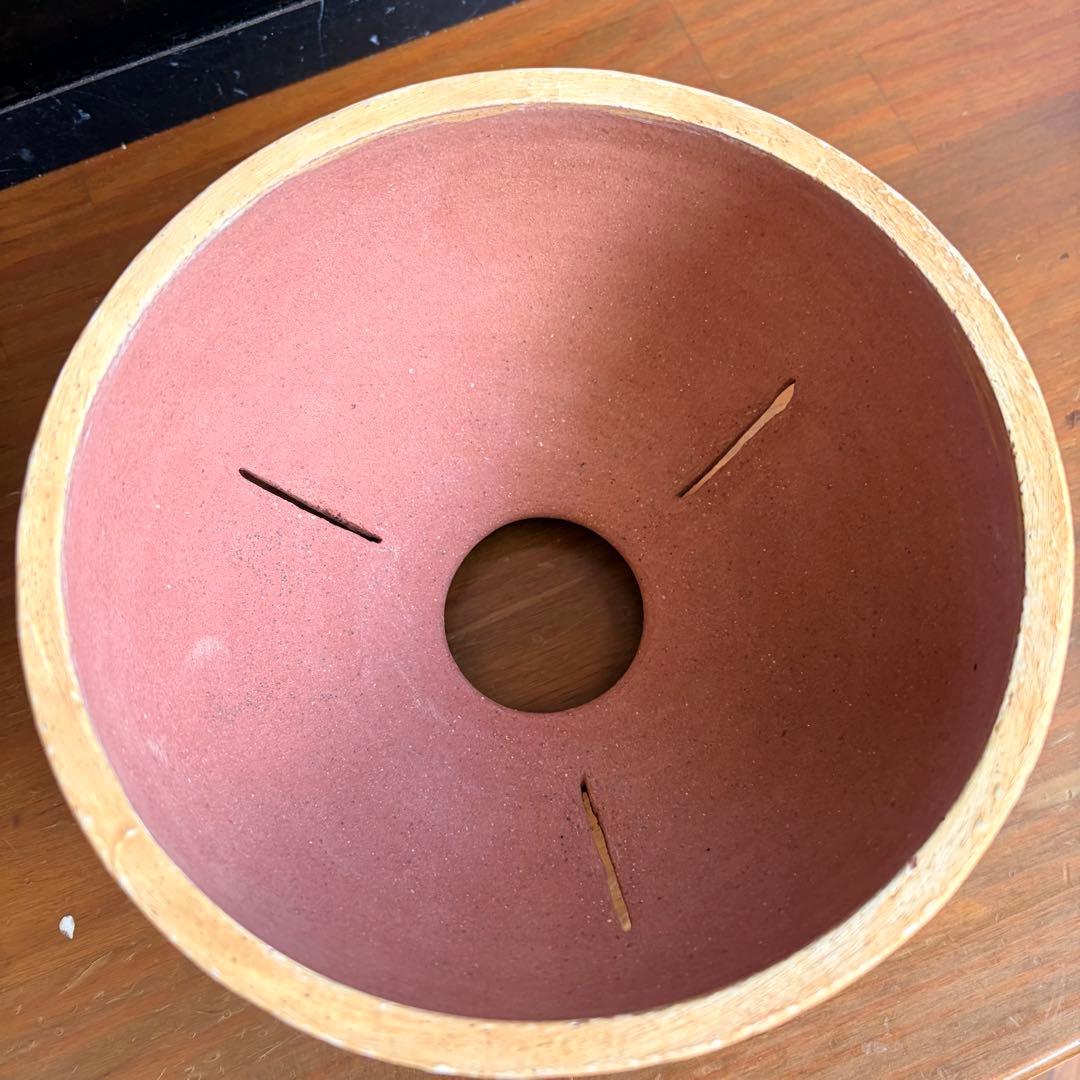 沼野秀章 / 刻ム音 / 5号　新品未使用　アガベ　グラキリス