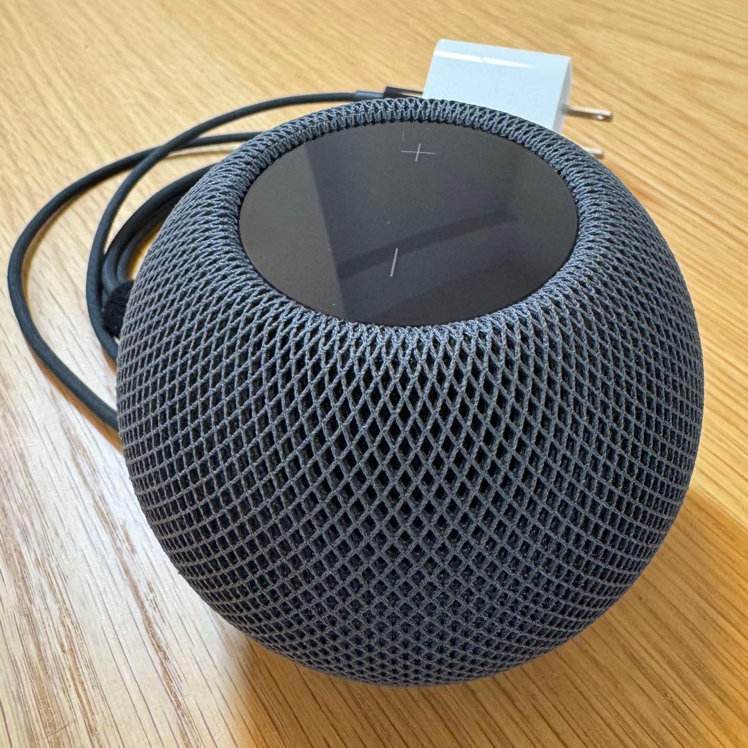 Apple Pod Mini スペースグレー 本体