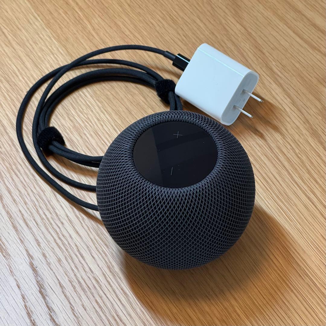 Apple Pod Mini スペースグレー 本体