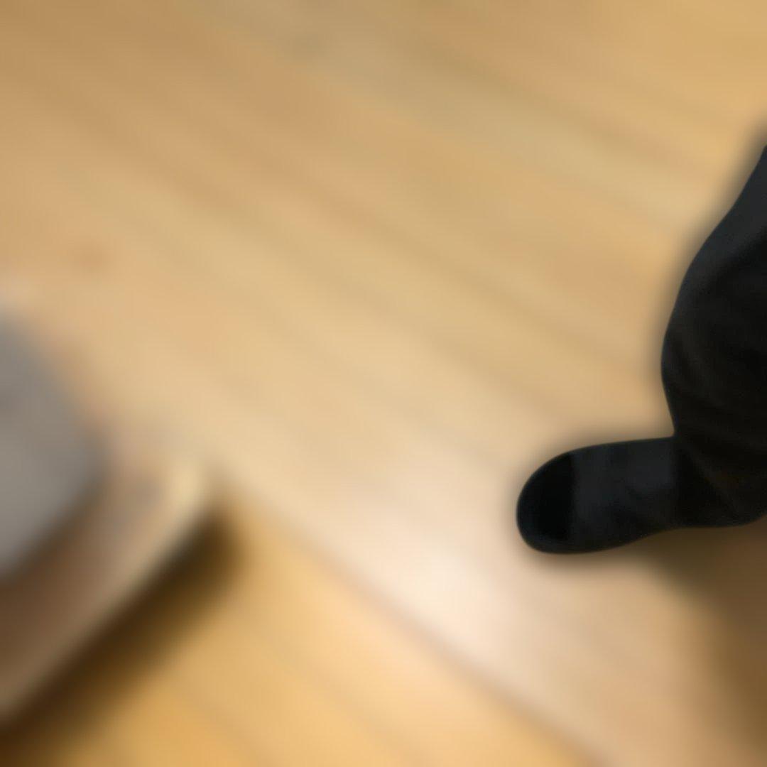 【送料無料】パナソニック 衣類乾燥機 DE-N55FX 家庭用 251230