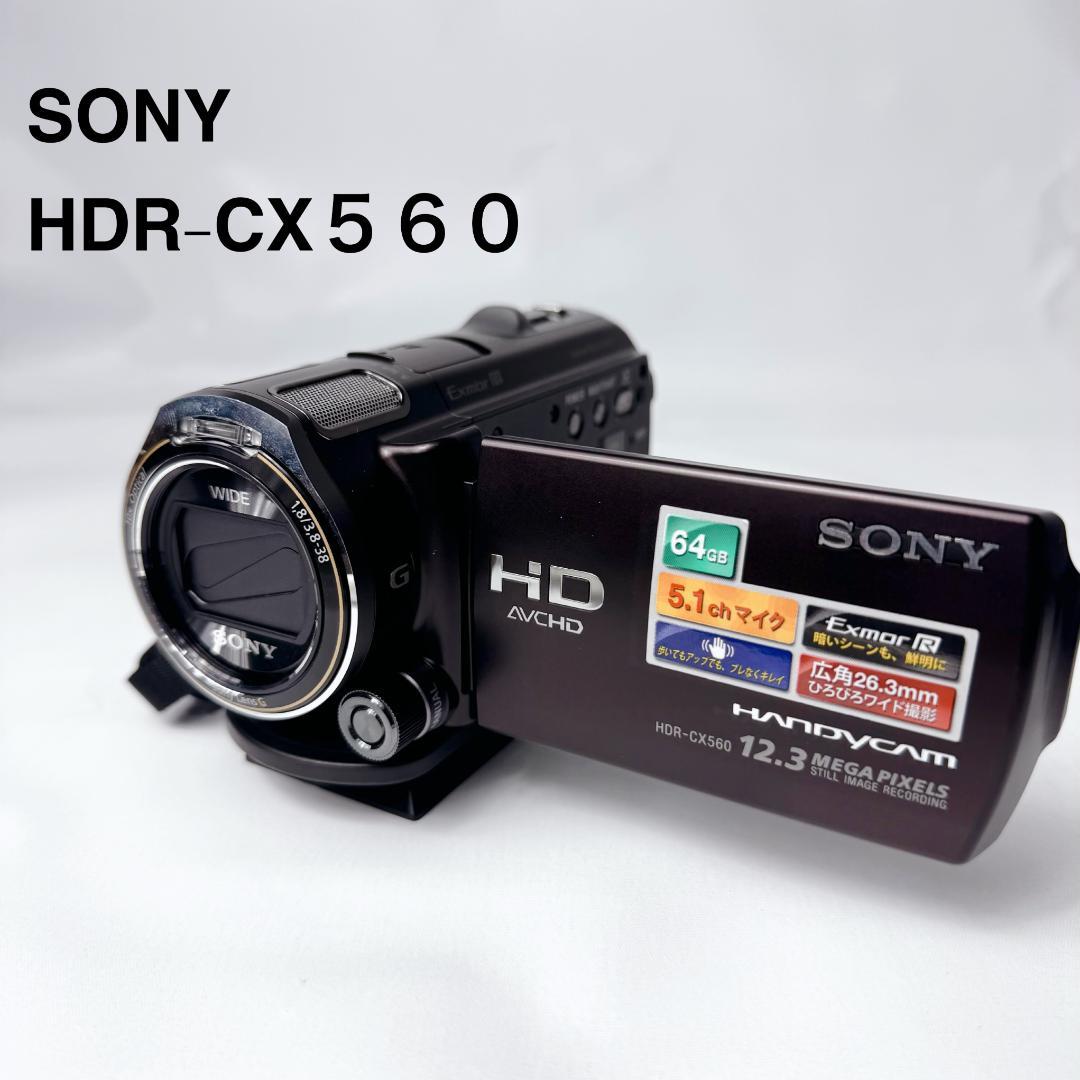 美品 SONY HDR-CX560V ハンディカム本体 アクセサリー付 電池2個