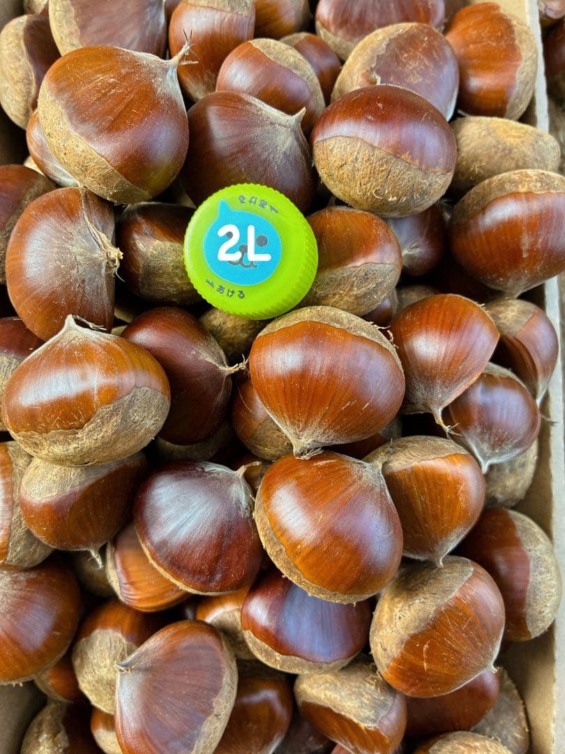 海賊王様　ミックスサイズ　6キロ