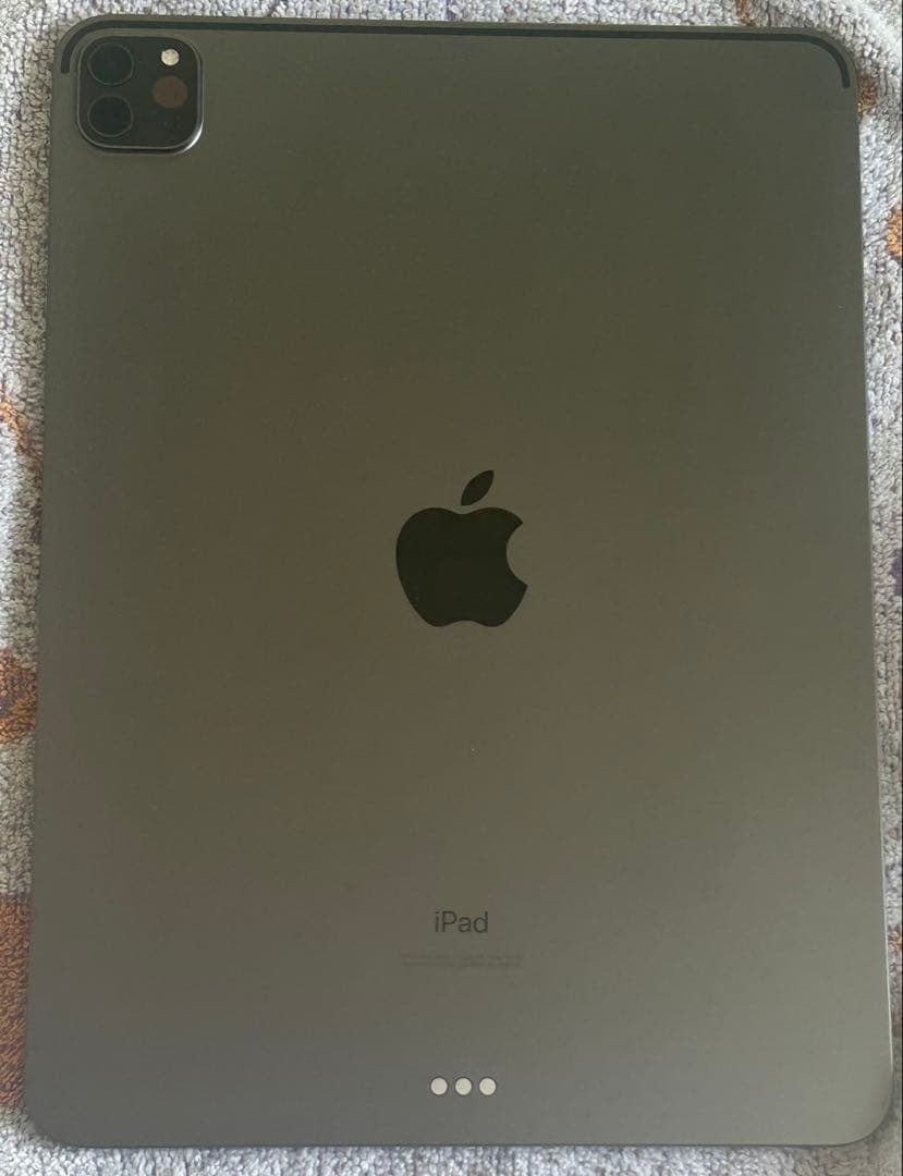 iPadPro第2世代11インチ256GB Wi-Fiモデル 箱付きタッチペン付