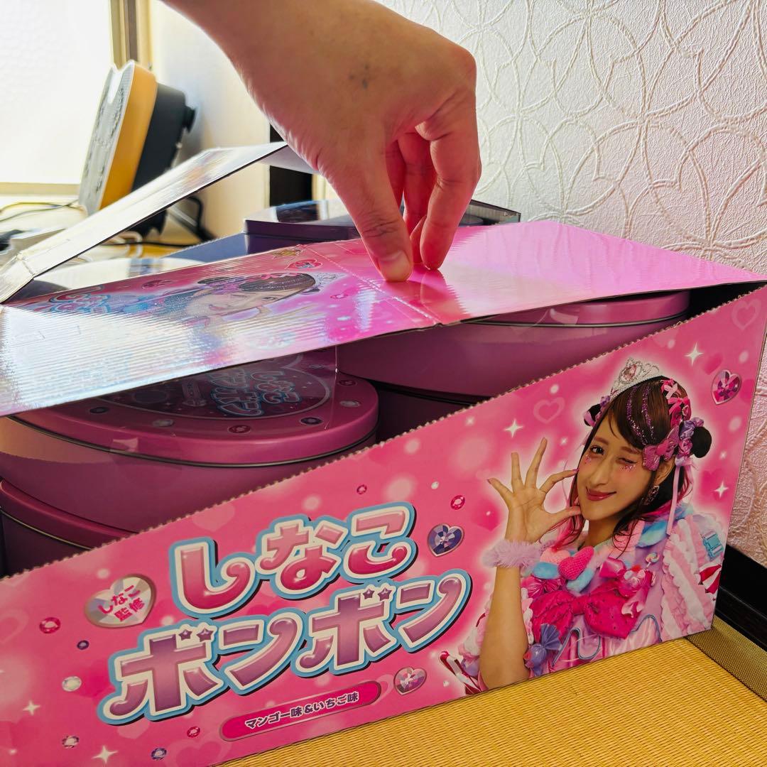 【ざきやま】しなこボンボン(未開封)