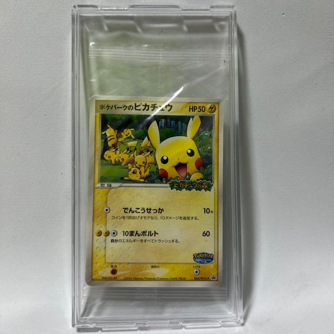 ポケパークのピカチュウ 未開封　プロモ