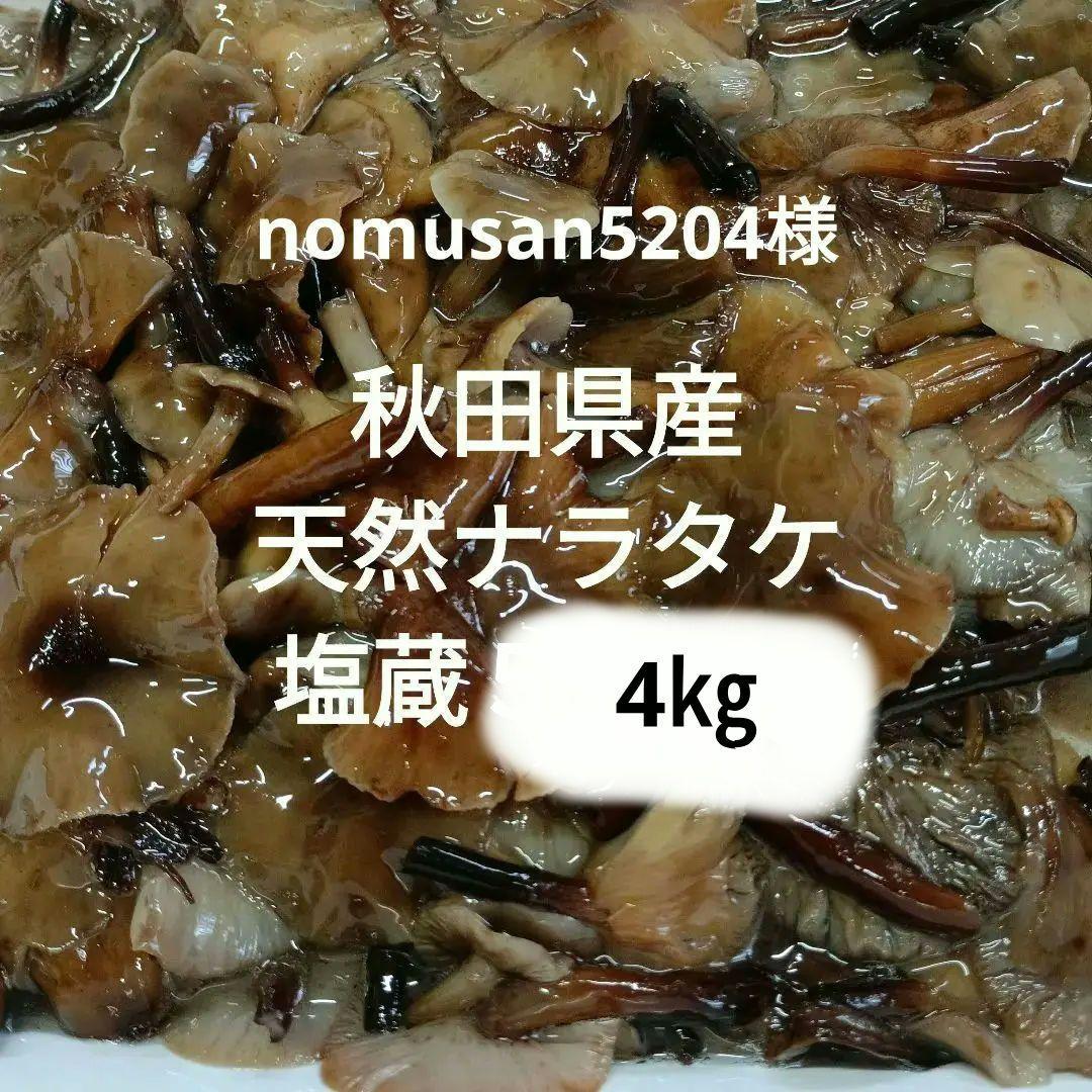 秋田県産天然ナラタケ 塩蔵4㎏
