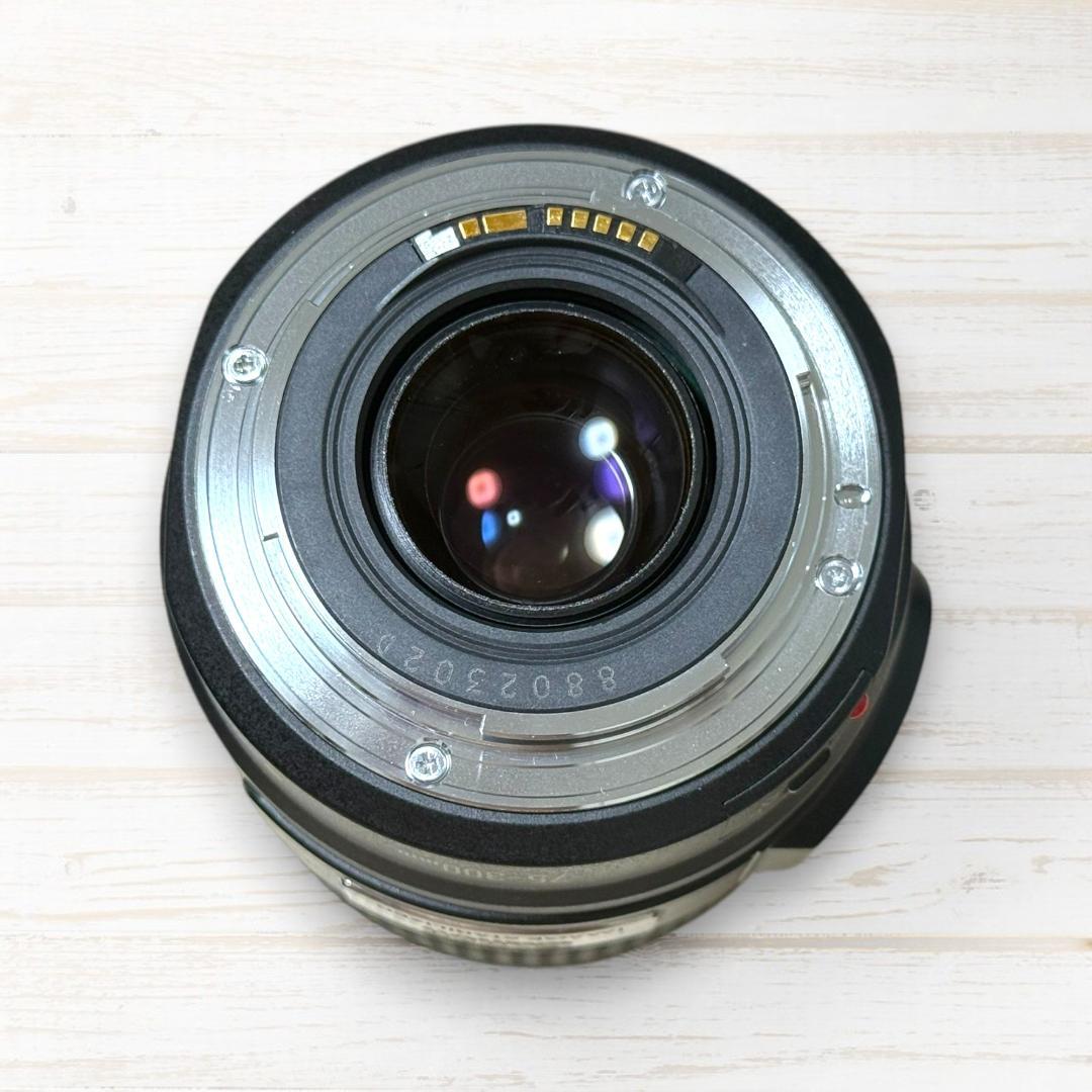 Canon 望遠レンズ EF 75-300mm IS USM #137