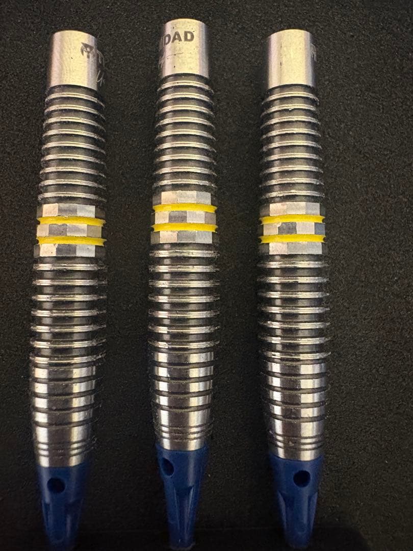 浅田斉吾モデル リカルド3 エスダーツ版