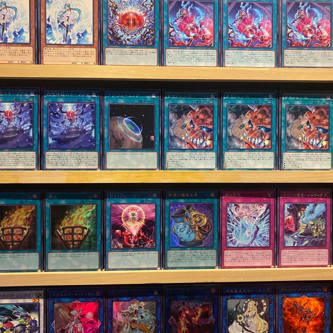 即日発送！　スネークアイ　デッキ　遊戯王　チキンレース　賜炎の咎姫　蛇眼の炎燐