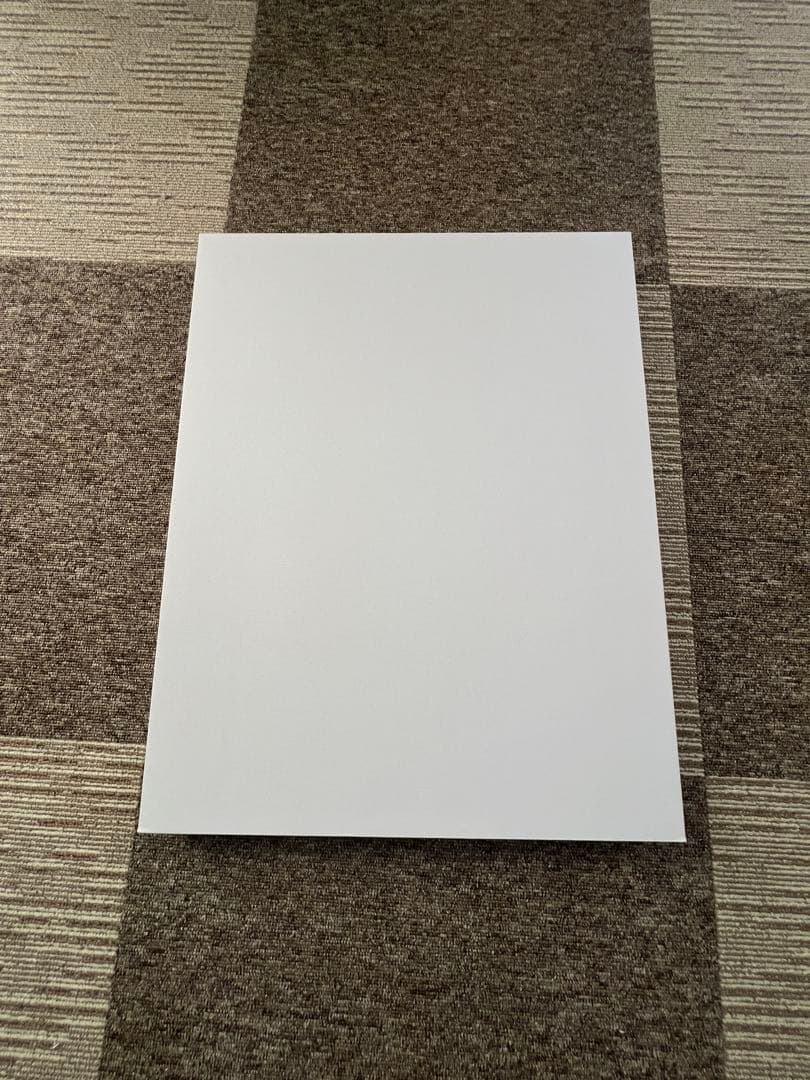 新品国内正規品　ドラえもん　浮世絵　木版画名所江戸百景 浅草金龍山