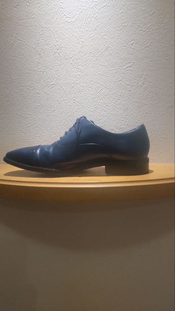 アシックス ランウォーク WR804T 27.0 EEE