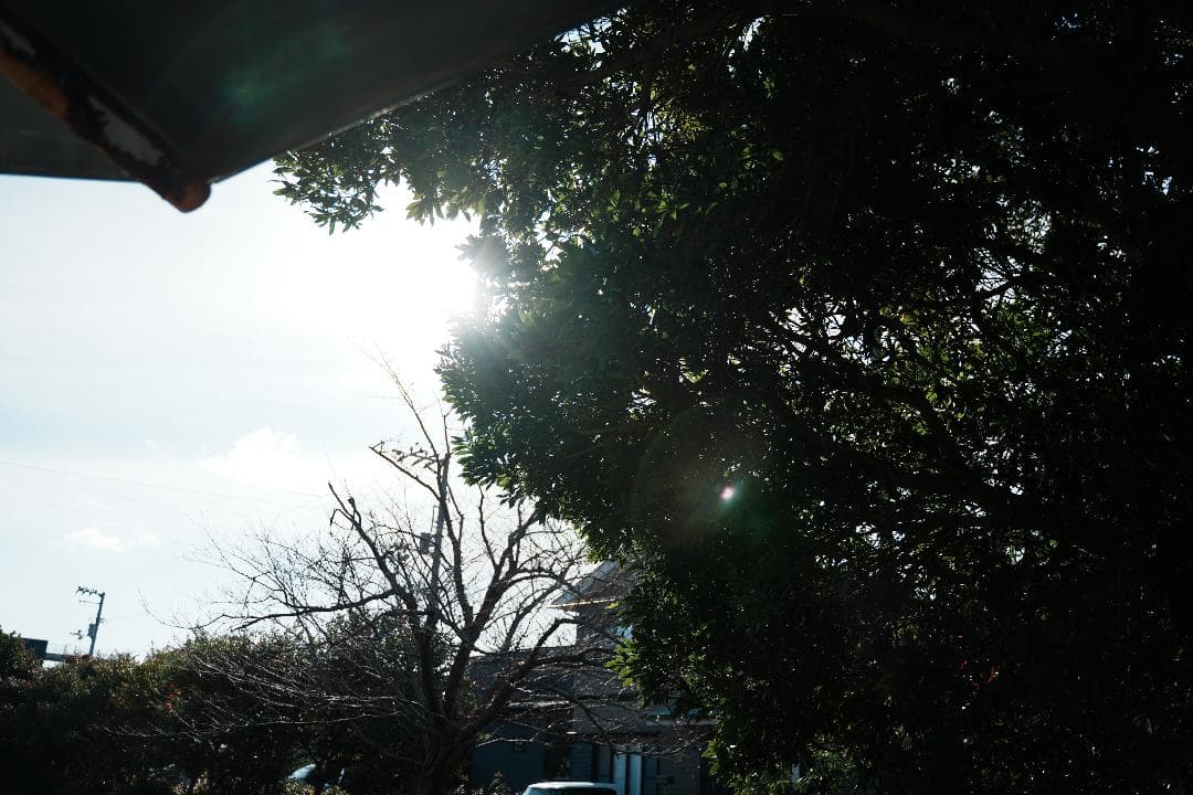 1本で完結 Tamron 28-75mm F2.8 A036 軽量550g