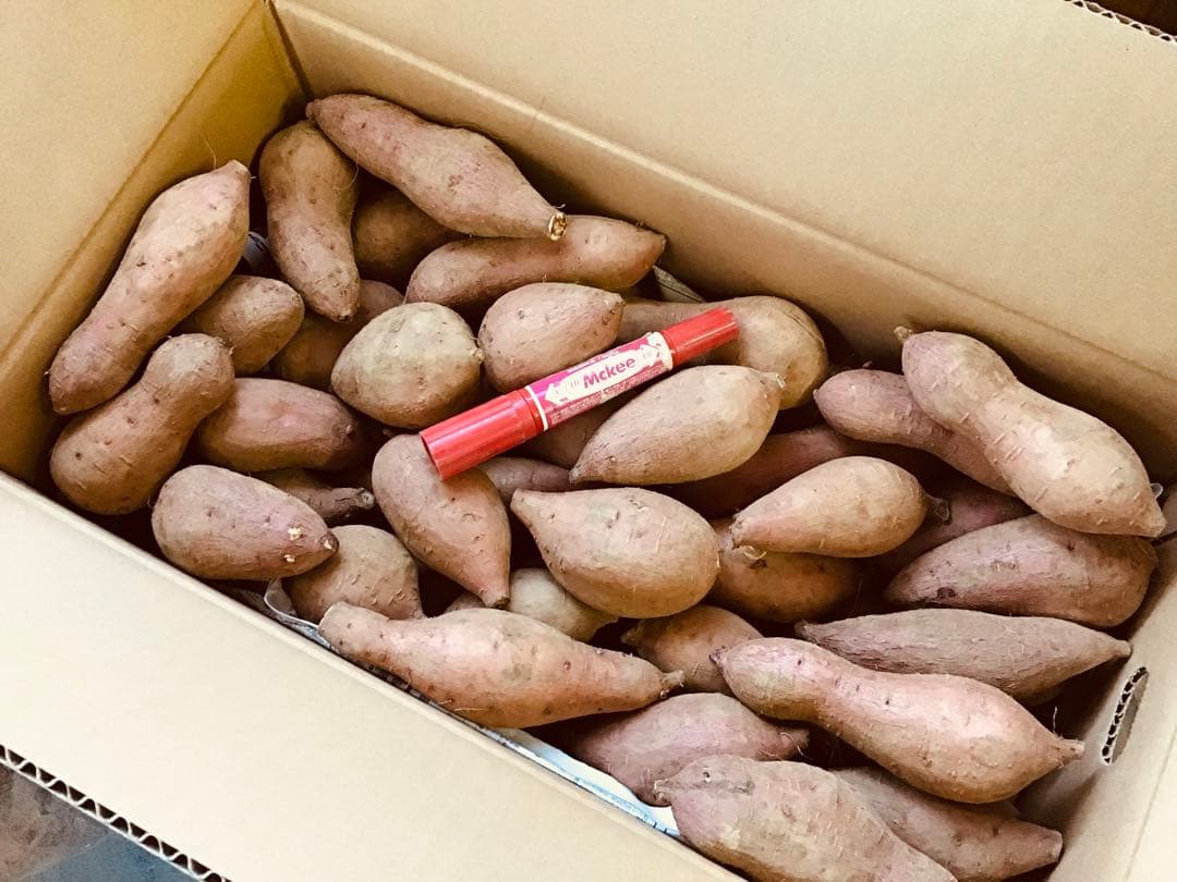 種子島産安納芋　Sサイズ20kgさつまいも 安納芋　紅　#22