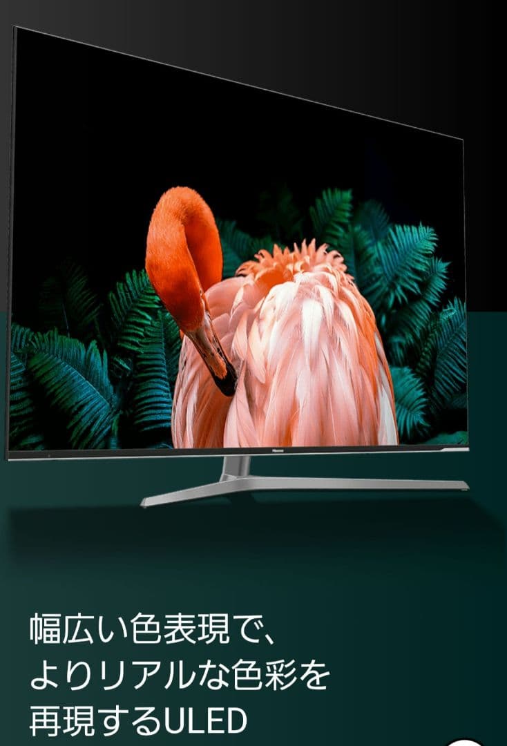 hisense 65u7e ハイセンス 65インチ 4Kテレビ B-cas付
